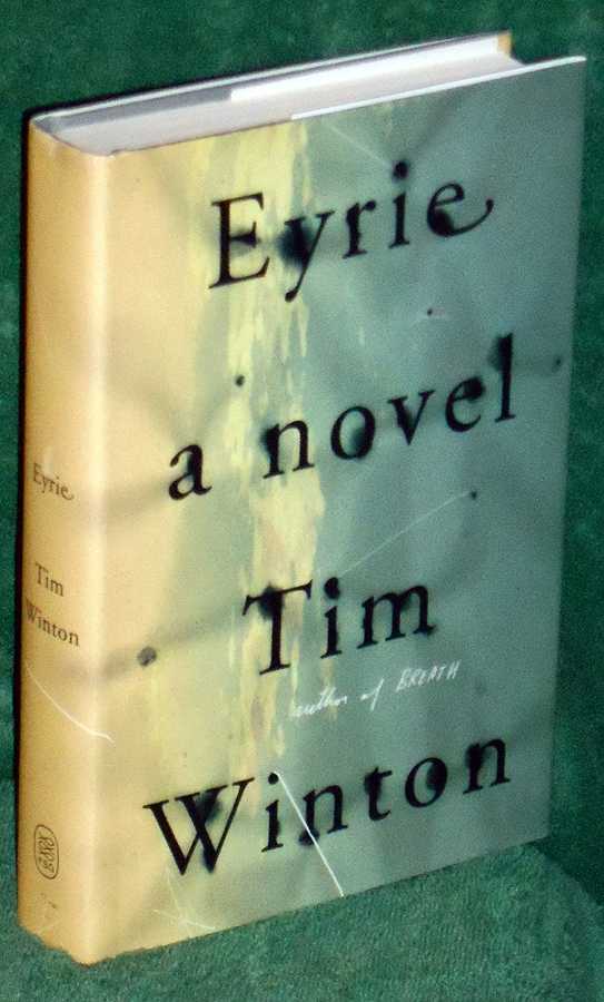 Eyrie: A Novel