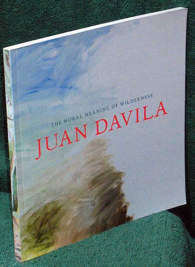 Juan Davila: The Moral Meaning Of Wilderness
