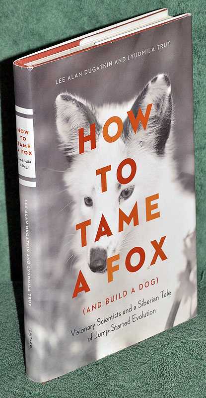 How to Tame a Fox (and Build a Dog)