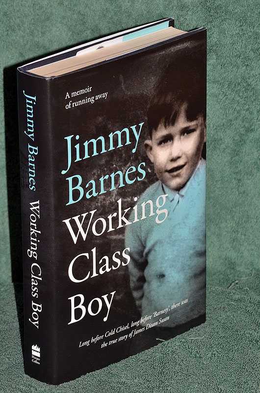Working Class Boy