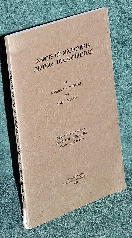 Insects of Micronesia Diptera: Drosophilidae