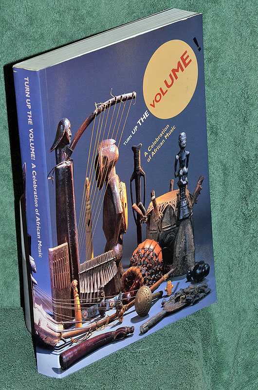 Turn Up the Volume!: A Celebration of African Music