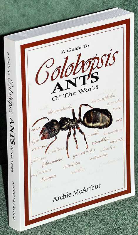 A Guide to Colopsis Ants of the World
