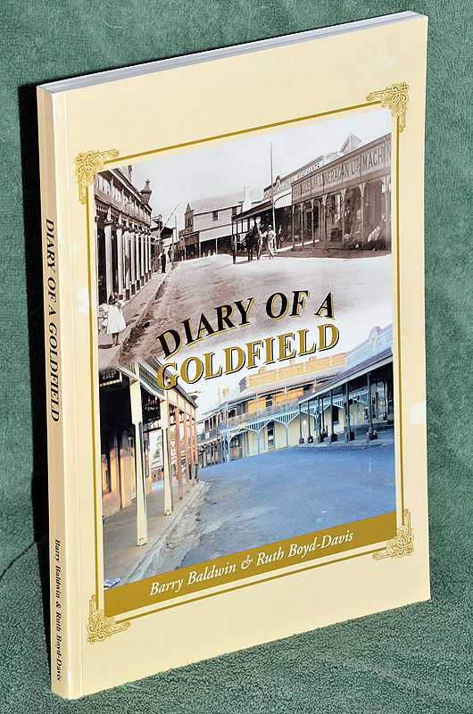 Image for Diary of A Goldfield Diary of A Goldfield