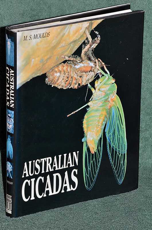 Australian Cicadas