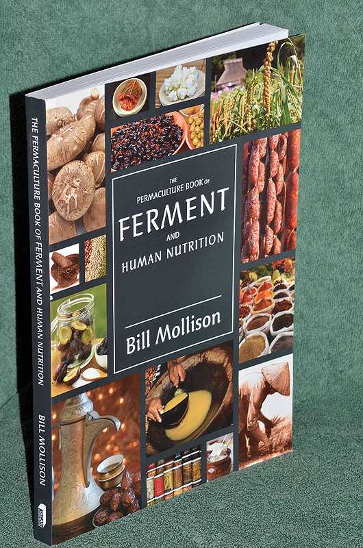 The Permaculture Book of Ferment & Human Nutrition