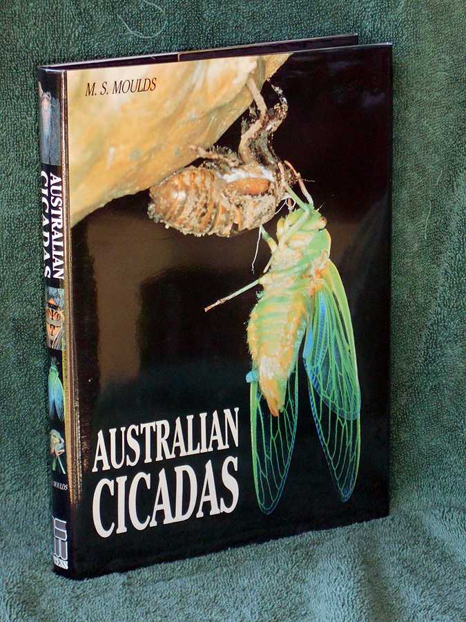 Australian Cicadas